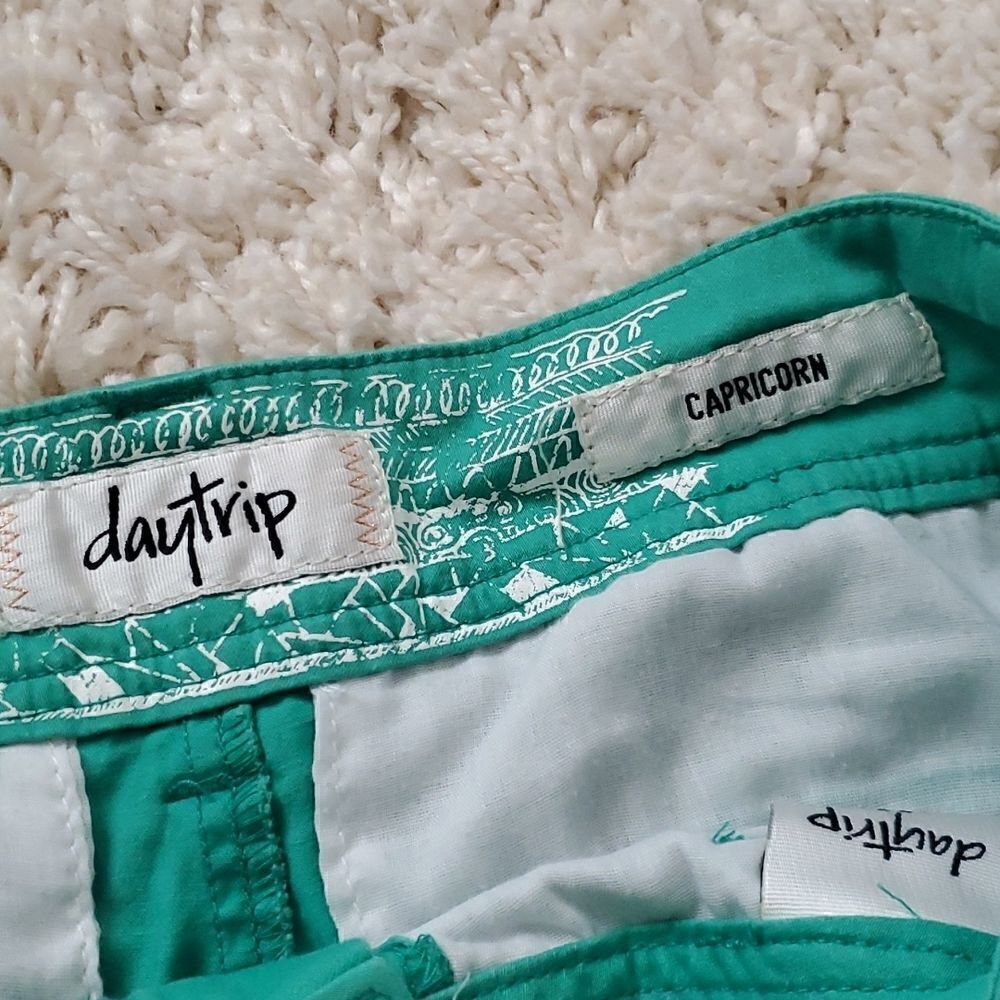 DAYTRIP Capricorn Shorts with Aztec Print - Picture 4 of 6